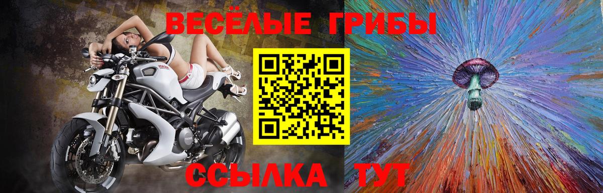 Комсомольск-на-Амуре  Псилоцибиновые грибы мицелий  где продают наркотики  Вход с VPN 